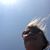 Sandy Alexander's profile image