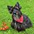 Patricia Saum-Dougherty's profile image