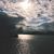 Priyanjali Sinha's profile image