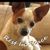 Cindy Croshaw's profile image