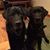 Barb Burri's profile image