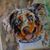 Mary Ann Imburgia's profile image