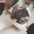 Dayeri Myeon's profile image