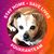 Tina Becker Guyer's profile image