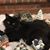 Kathy Leake Michael's profile image
