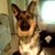 Lori Miller's profile image