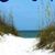 Debbie Jesse's profile image
