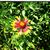 Kim Flores's profile image