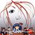 Elizabeth Wilson's profile image