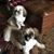 Mary Wagster Lunn's profile image