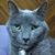 Don Rockey's profile image