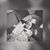 Misty Bachman's profile image