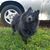 Sarah Wiley's profile image