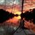 Lisa Richard Thompson's profile image