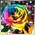 Jenn D Cerillo's profile image