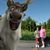 Penny Haire's profile image