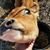 Nathan Silva's profile image