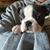 Jeannie Loichinger's profile image