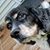Lynnette Cook's profile image