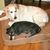 Michelle Scaglione Gaeta's profile image