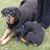 Nancy Weber's profile image