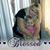 Jennifer Renee Love's profile image