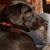 Karen Aldrich's profile image