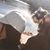 Mayra Cristina Narky Pintor's profile image
