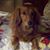 Gail Christopher's profile image