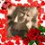 Mary Roy's profile image