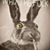 Kathryn Roos's profile image