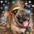James A Tracz's profile image