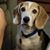 Glenda DeBusk's profile image