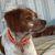 Marcia Whitmore's profile image