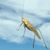 Karen Zekhaya Hershman's profile image