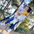 Alma Sandoval's profile image