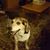 Melissa Cyr's profile image