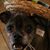 Anna Gallegos's profile image