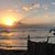 Kathy Kuehn Ellis's profile image