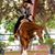 Jean Western-Cole's profile image