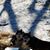 Valerie Totedo's profile image