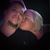 Featherstone Lynn's profile image