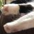Michelle LeFebvre's profile image