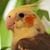 Donna Hurd's profile image