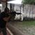Josevic Bantigue's profile image