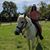 Alicia Barlowe's profile image