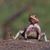 Terry Peterson's profile image