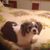 Bonnie Louise Daniel's profile image