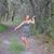 Ashleigh Willison-cale's profile image