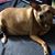 Gladys Mendez's profile image